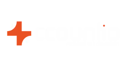 Accountio AI